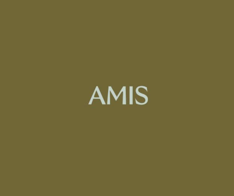 Amis